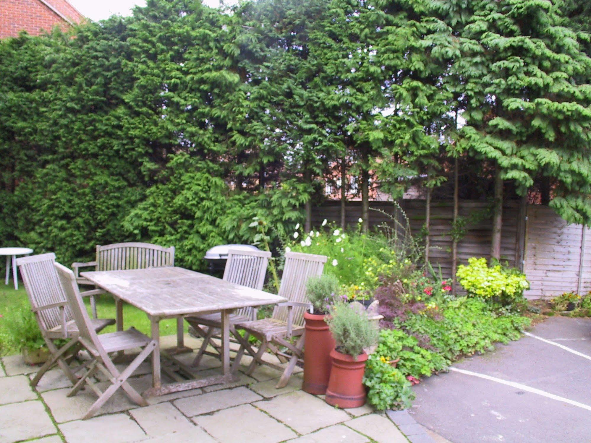 Springfield House - Birmingham Airport & Nec Bed and Breakfast Coleshill Εξωτερικό φωτογραφία